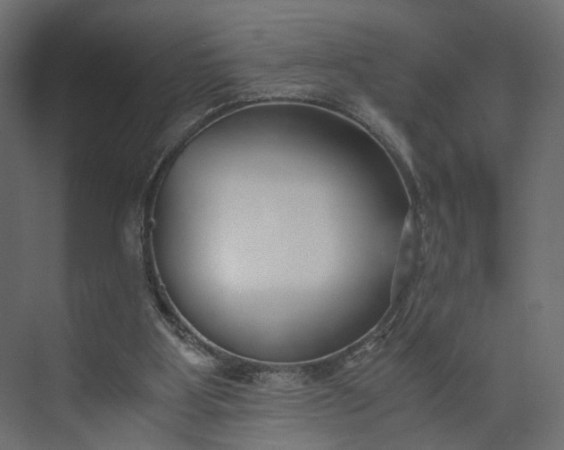 X0000073900107200608251507