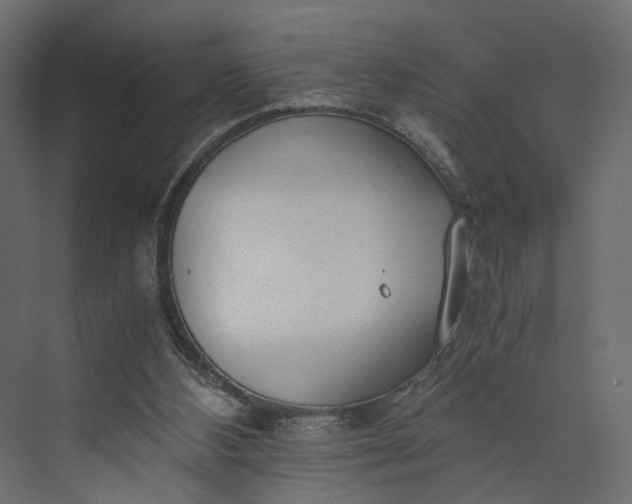 X0000073900108200608251507