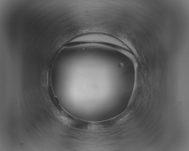 X0000073900109200608251507