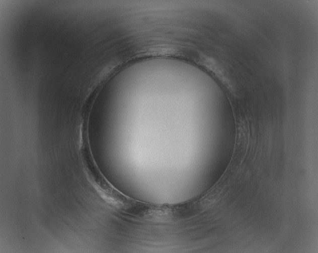 X0000073900110200608251507