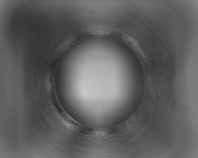 X0000073900114200608251507