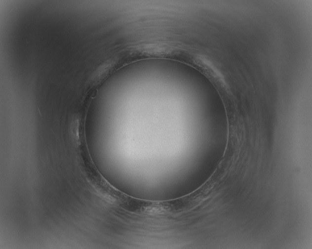 X0000073900115200608251507