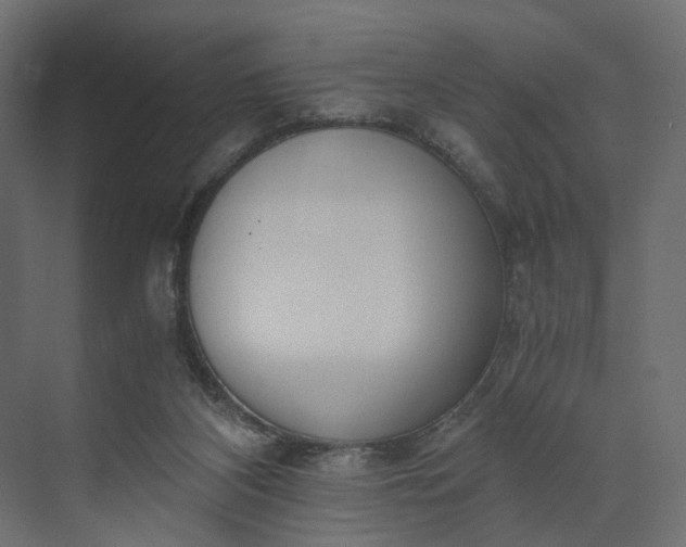 X0000073900116200608251507