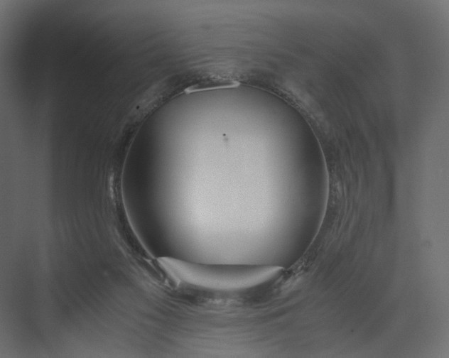 X0000073900117200608251507