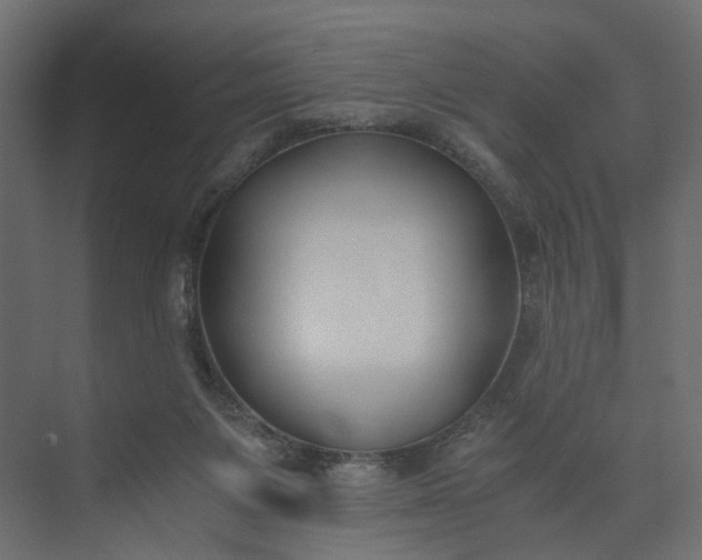 X0000073900119200608251507