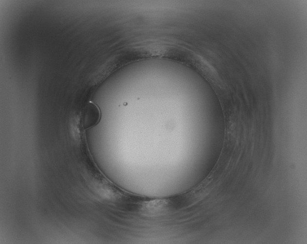 X0000073900122200608251507