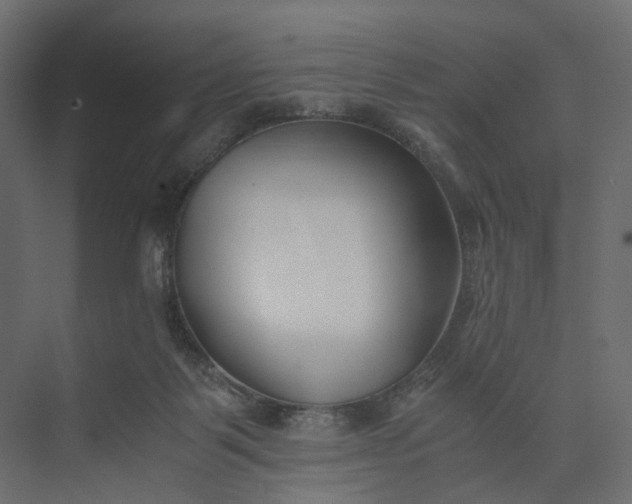 X0000073900123200608251507