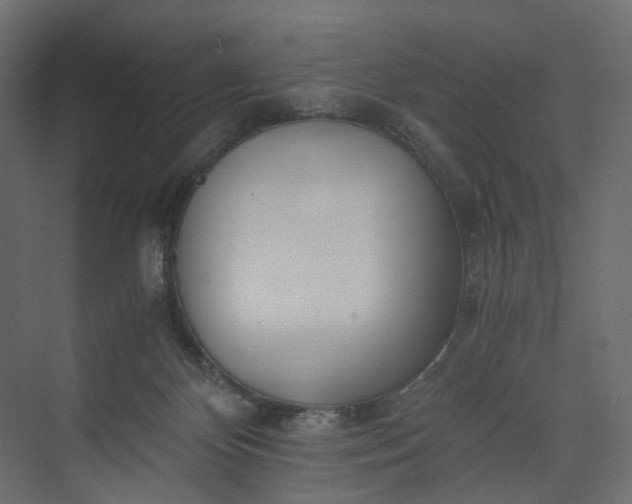 X0000073900124200608251507