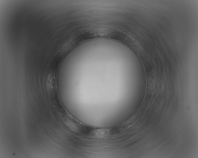 X0000073900126200608251507