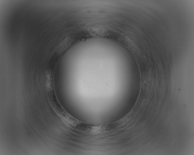 X0000073900130200608251507