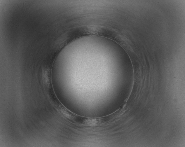 X0000073900131200608251507