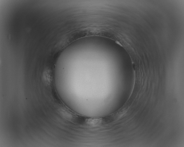 X0000073900135200608251507