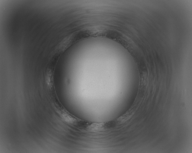 X0000073900138200608251507