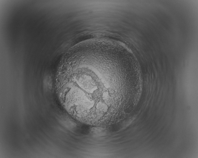 X0000073900139200608251507