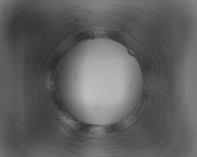 X0000073900140200608251507