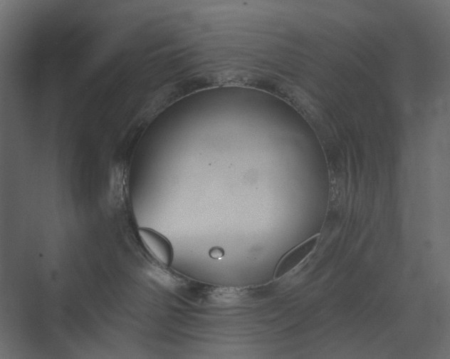 X0000073900142200608251507