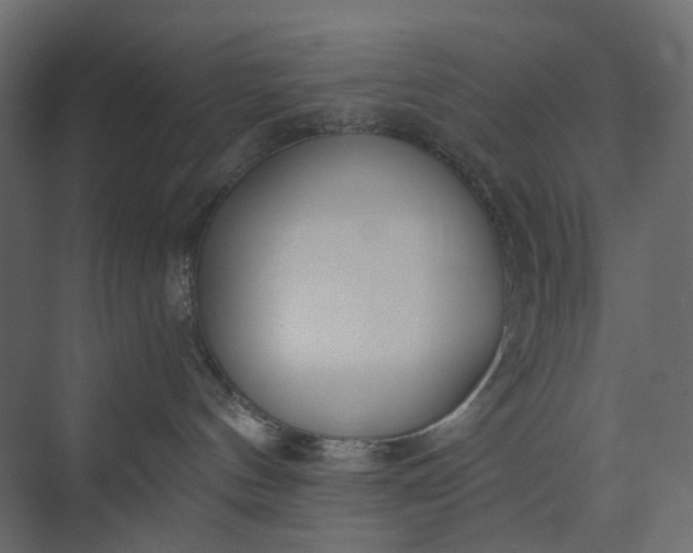 X0000073900144200608251507