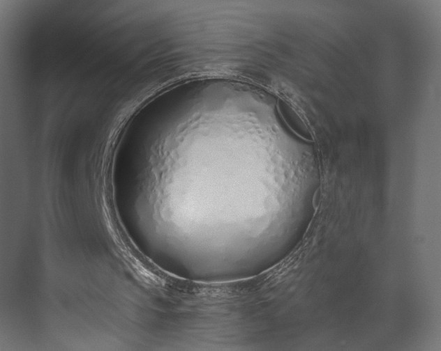 X0000073900145200608251506