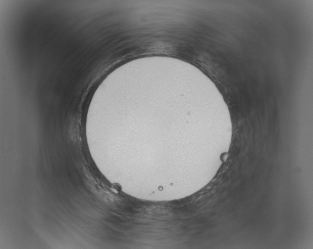 X0000073900146200608251506