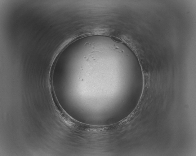 X0000073900147200608251506