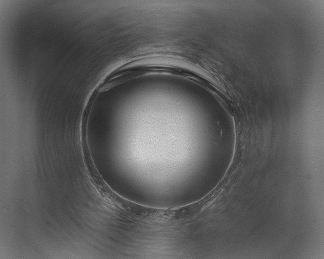 X0000073900148200608251506