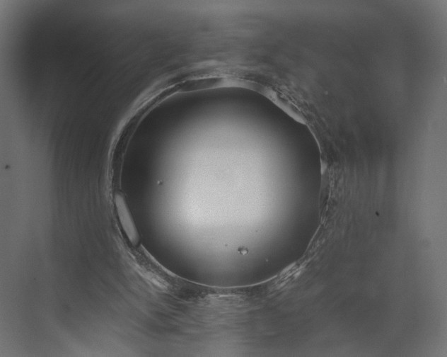 X0000073900150200608251506