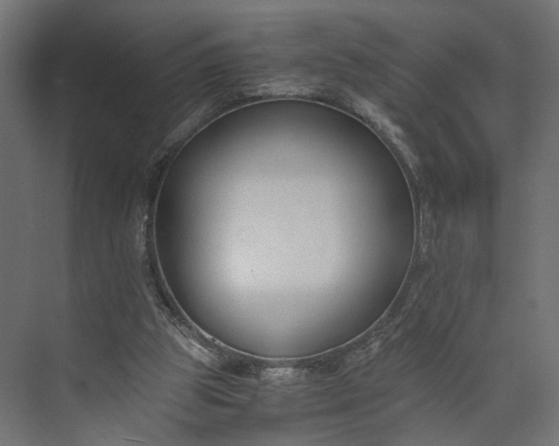 X0000073900153200608251506