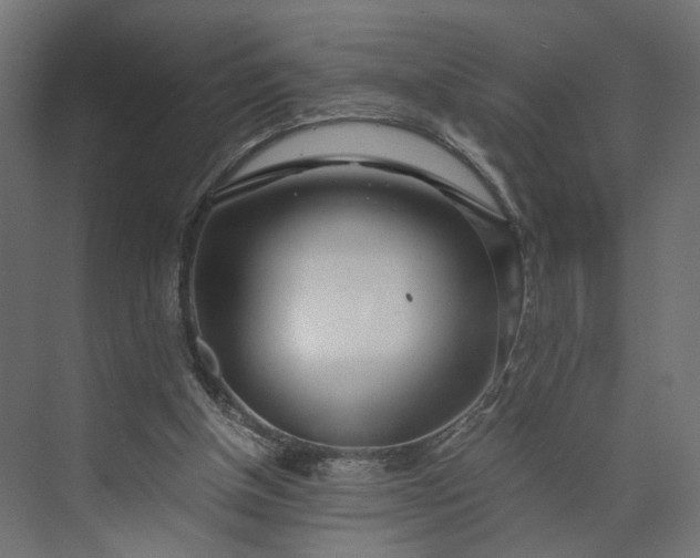 X0000073900154200608251506