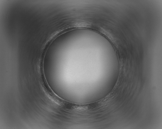 X0000073900155200608251506