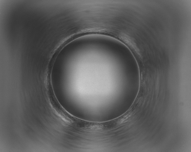 X0000073900156200608251506