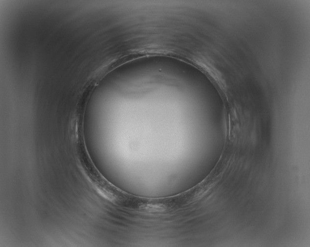 X0000073900157200608251506