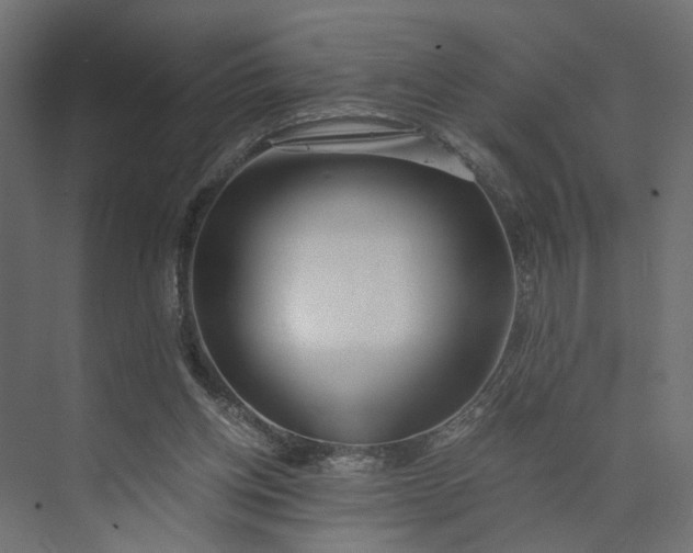 X0000073900158200608251506