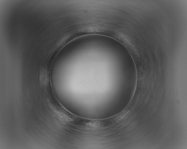 X0000073900164200608251506