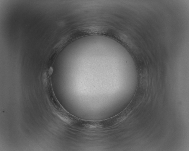 X0000073900165200608251506