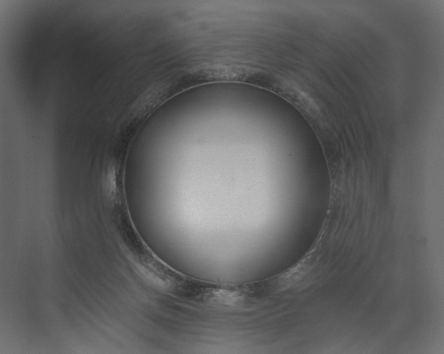 X0000073900166200608251506