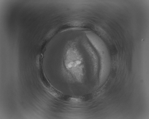 X0000073900167200608251506