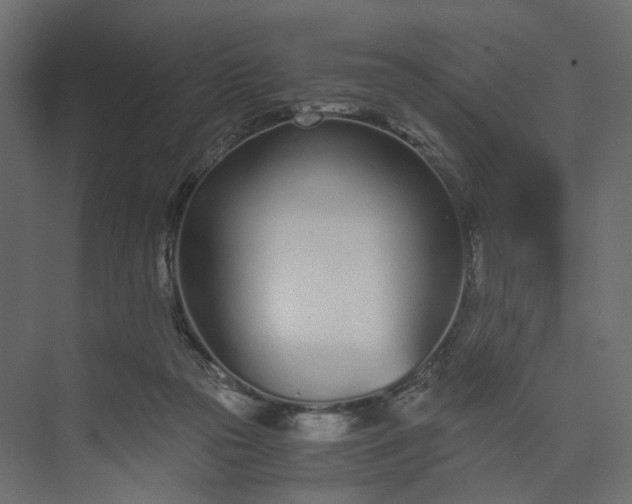 X0000073900169200608251506