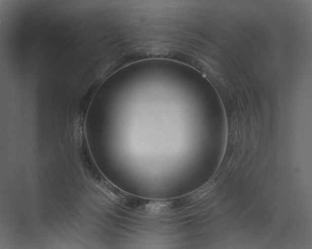 X0000073900172200608251506