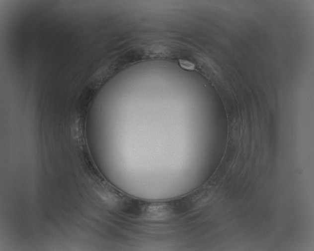 X0000073900173200608251506