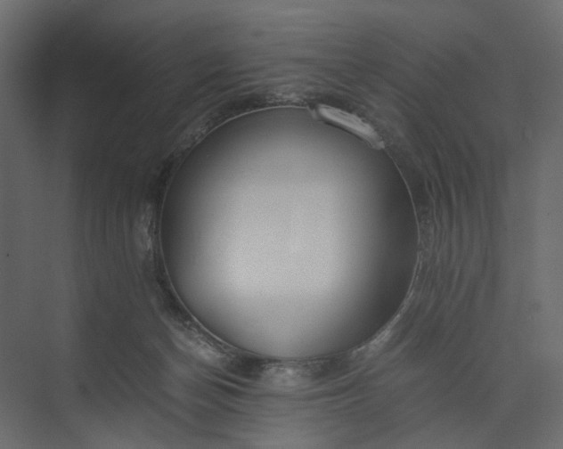 X0000073900174200608251507