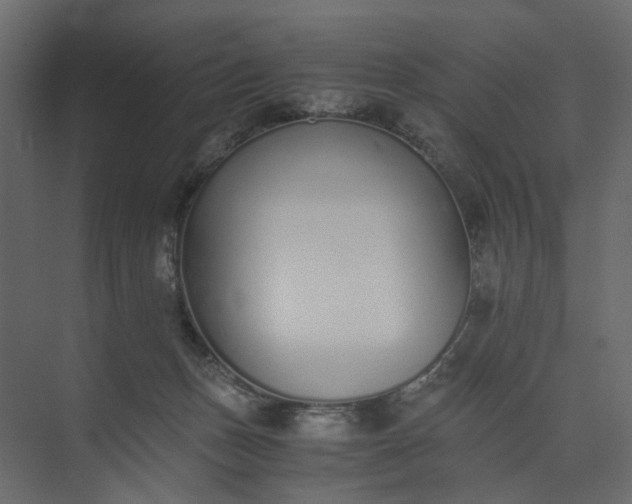 X0000073900175200608251507