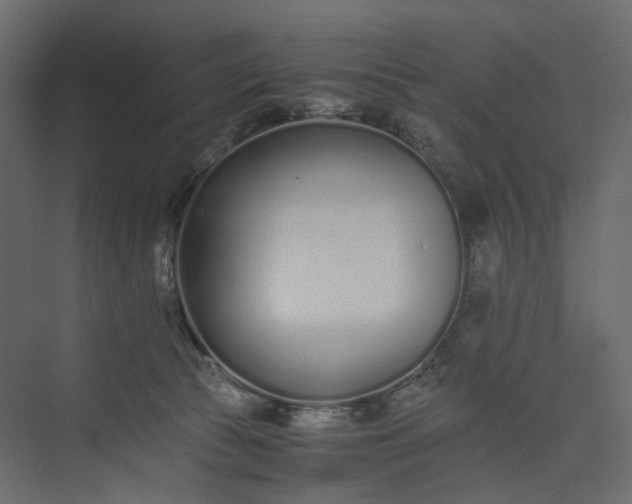 X0000073900177200608251507