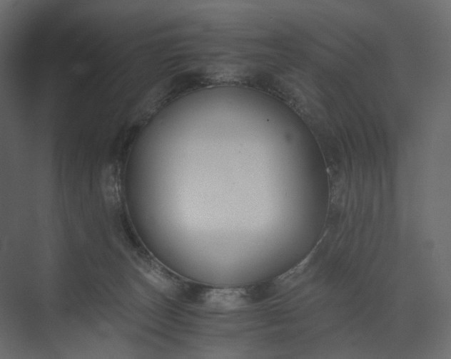 X0000073900179200608251507