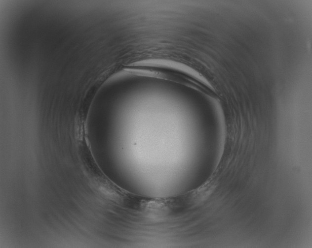 X0000073900180200608251507