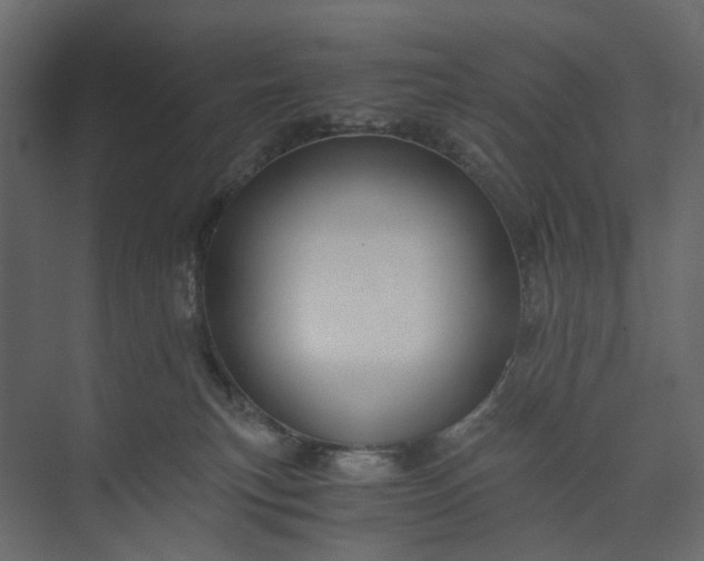 X0000073900183200608251507