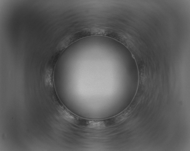 X0000073900185200608251507