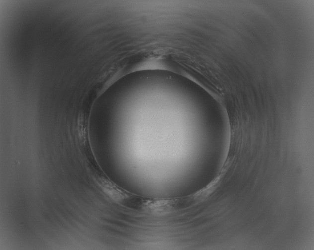 X0000073900186200608251507