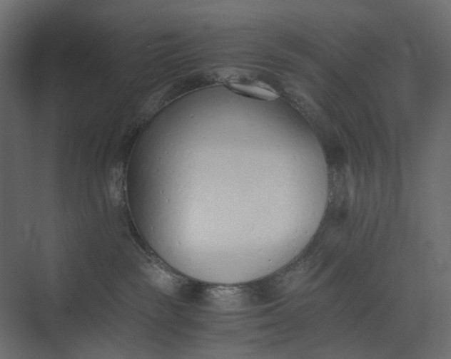 X0000073900189200608251507