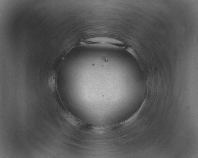 X0000073900190200608251507