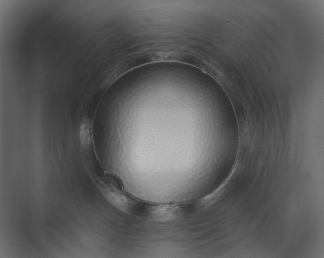 X0000073900191200608251507